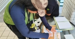 五色套印走讀   大甲商圈雙路線集章攻略上線