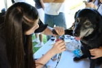 退役搜救犬回娘家中市消防局向毛英雄致敬感謝認養家庭接棒守護