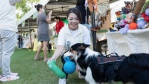 高滿意度並非天上掉下來    高虹安競辦：是市府團隊努力獲市民肯定